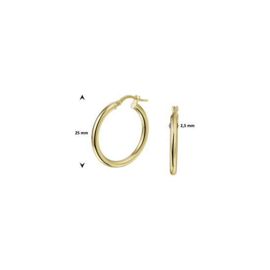 oorringen ronde buis 2,5 mm - 41059