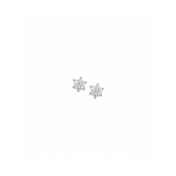 oorknoppen ster zirkonia halo 6 mm - 42205