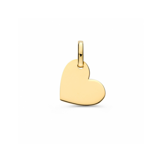 Hanger geelgoud - 42776