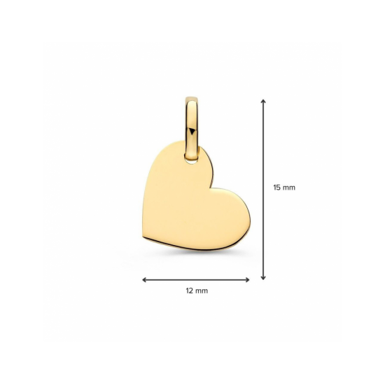 Hanger geelgoud - 42776